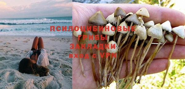 таблы Алзамай