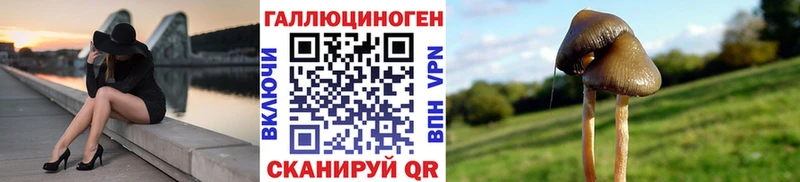 гидра вход  Опочка  Галлюциногенные грибы ЛСД 